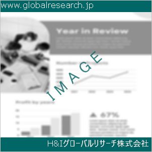 グローバルリサーチ調査資料のイメージ